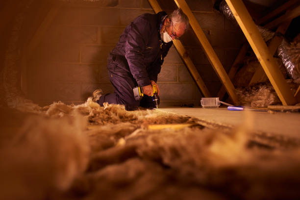 Insulation Air Sealing in Ravenswood, WV